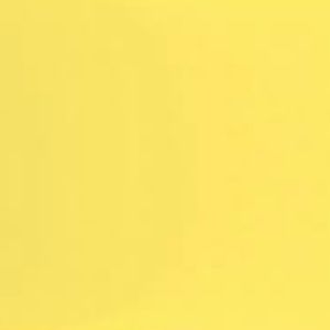 Meet your Posher, Evelyn